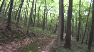 Greenbush Trails 2