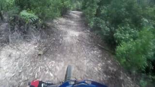 Wyena Trails