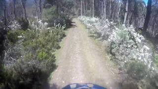 Ben Lomond Descent (Fun Bits)