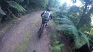 Tunnel Hill Road Scenic Route