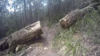 Mt Montgomery Full Descent