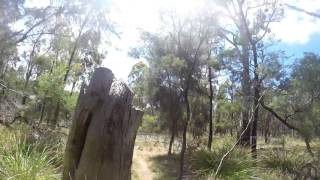 Kate Reed Old School Loop