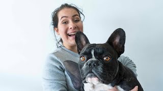 SURPRISING BENEDICTE WITH A FRENCH BULLDOG 2018