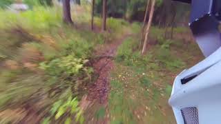 26.09.2017 downhilll Trippestadskogen