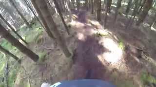 Hill of Fare - My Little Pony Trail
