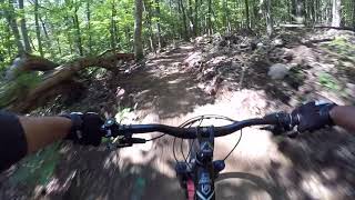 Gurney Fun