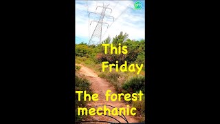 #Shorts Don't miss out this Friday! The forest...
