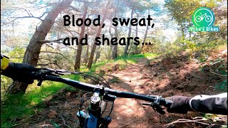 Blood, sweat and shears. Righty Ruggiero is...