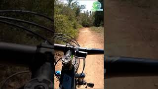 #Shorts Turn Baby Turn - MTB in Greece!