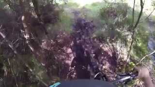 Hill of Fare - Teddybears Picnic Trail