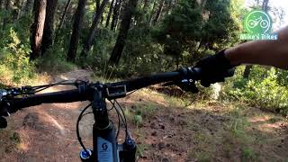 Morning trail ride at Parnitha Mountain