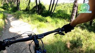 Connepigeon trail with a Little Rock 'n Roll