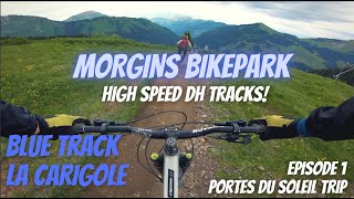 Morgins Bikepark - La Carigole