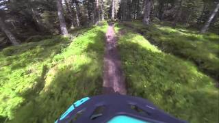 Hill of Fare - Greymore Downhill from woods Trail