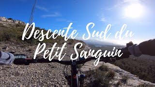 Descente Sud du Petit Sanguin PR 3:19 |...