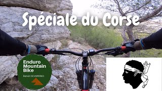 Spéciale du Corse | Le Rove