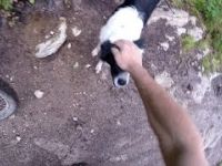 Alpine Singletrack, Trail Dog, Hail Storms and...