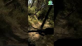 #Shorts Kourado Bill trail tribute. MTB in Greece!