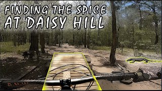 Finding the SPICE at Daisy Hill MTB