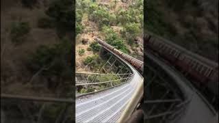 Forest mountain train #shorts #incredible ❤️