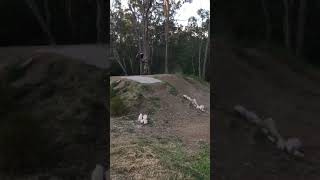 Big jumps #shorts #pinkbike #toowoomba