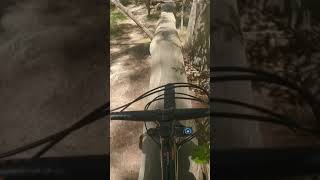 Mini NORTHSHORE Features in Australia #shorts...