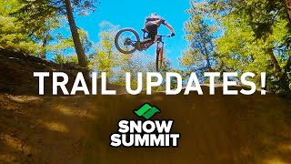 Snow Summit - 2021 Updates on Party Wave,...