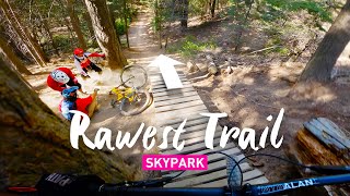 Rawest Trail at Skypark at Santa's Village - Comet
