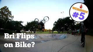 North Bowl BANGERS!