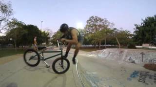 SIX clips with the FISH || Dillon Mitchelson (BMX)