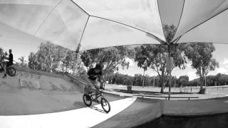 SIX clips with the FISH || Mitch Goodlad (BMX)