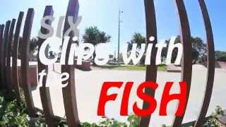 SIX clips with the FISH || Darryl Kelly (BMX)