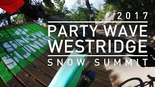 'Party Wave' and 'Westridge' Mountain Bike...