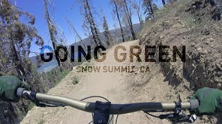 'Going Green' Mountain Bike Trail - Snow...