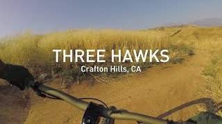 Three Hawks, an Intense Recluse, and a Chubby...