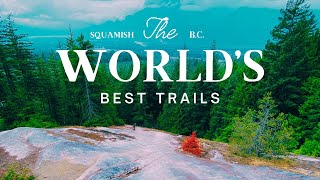 Best MTB Trails in The World | Why you need to...