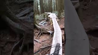 The Fender Bender is Finely Open On Pipeline|...