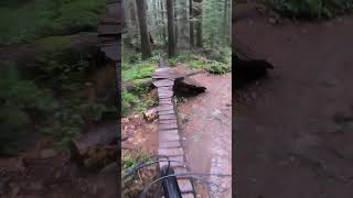 Falling Off A Skinny On Severed D, Seymour MTN...
