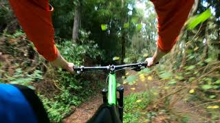 Monge + 17 paus + Casa velha trails. Sintra,...