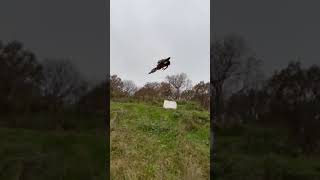 Ride along KTM 85 #motocross