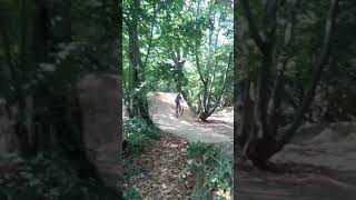 Jump to double manual and then backflip at...