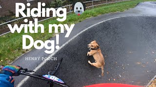 Kid riding with his dog