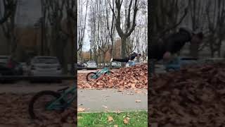 Never dive like this 