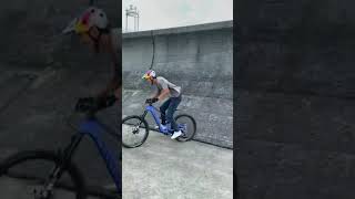 Getting wild at the docks 