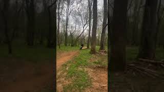 Full Blast on the trails  #shorts