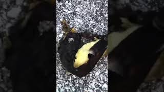 CRASH WHILE SLIPPING ON BANANA  #shorts
