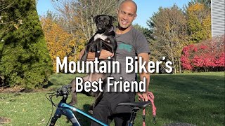 My best riding buddy came from a shelter! |...