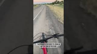 Biker Vs Horses Race