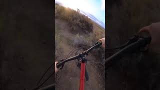 I built a bike trail in my backyard.