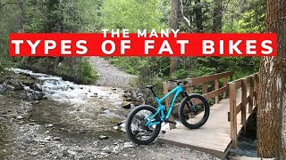 How To Choose A Fat Bike: Bikepacking, Full...